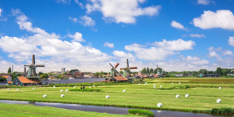 field in the Netherlands