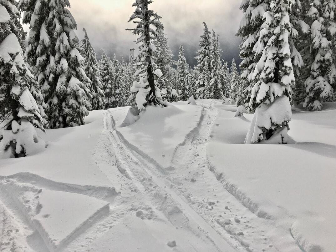 Snowy landscape